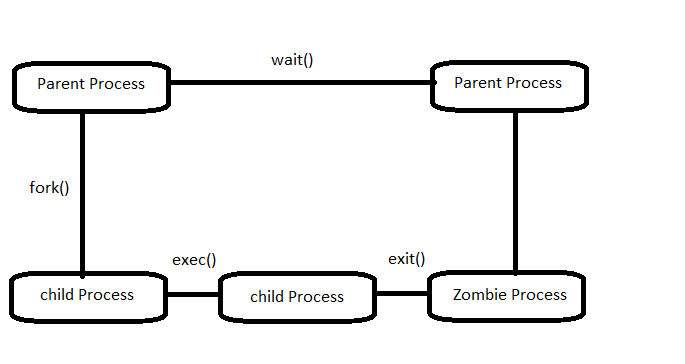 Zombie Process